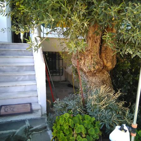 게라크니 Thomi'S House. 빌라 외부 사진